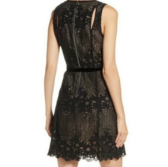 Foxiedox Asha Black Lace Dress NWT - Picture 3 of 8